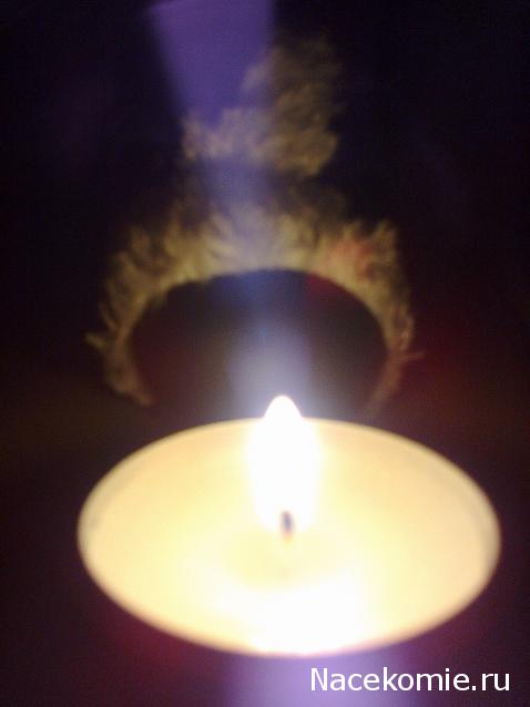 The Dog Collection Болталка