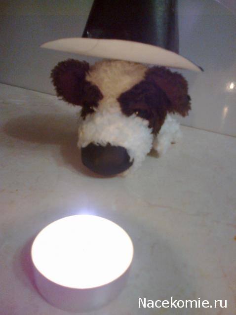 The Dog Collection Болталка