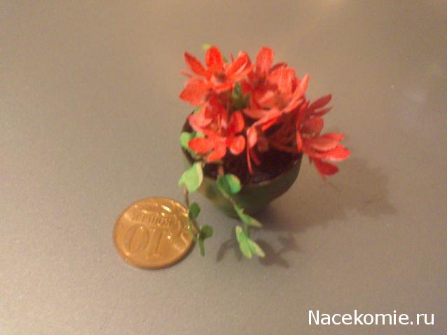 Дом Мечты и Новогодний Санта