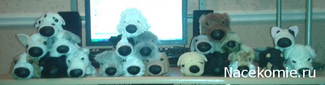 The Dog Collection Болталка