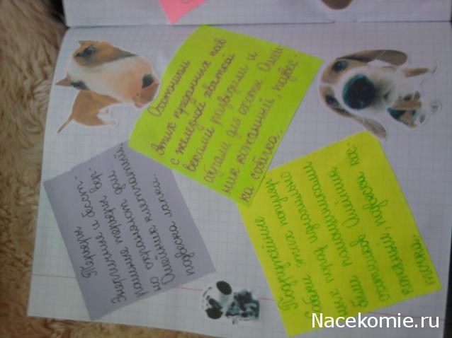 The Dog Collection Болталка