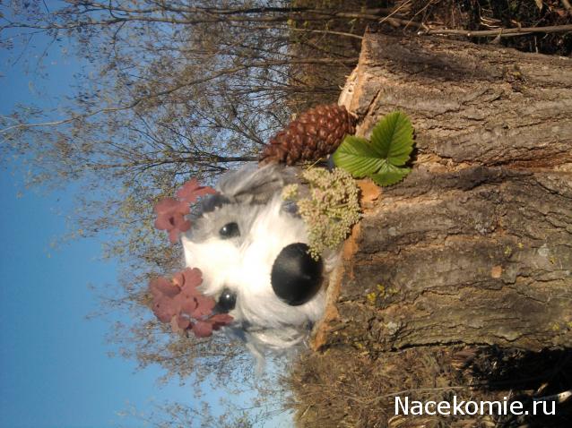 The Dog Collection Болталка