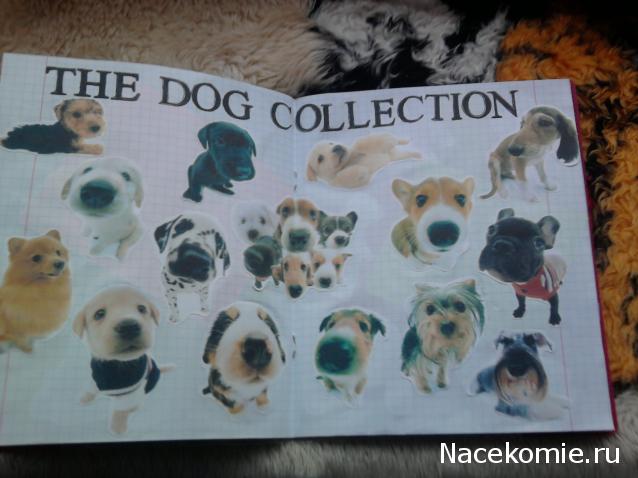 The Dog Collection Болталка