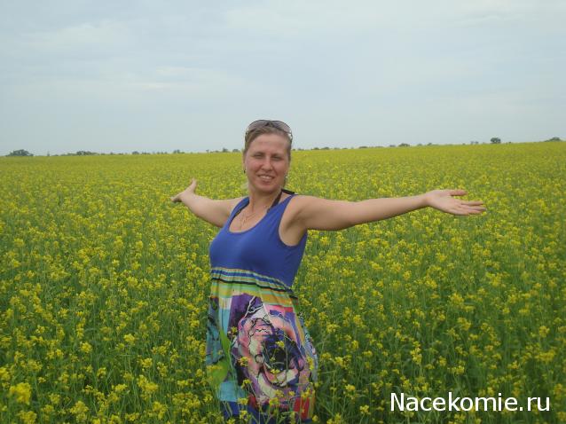 Дом Мечты Болталка: перезагрузка