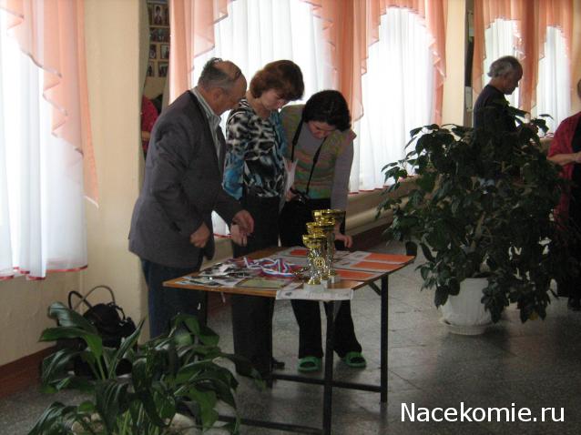 Собери Чёрную жемчужину. Пиратский трёп