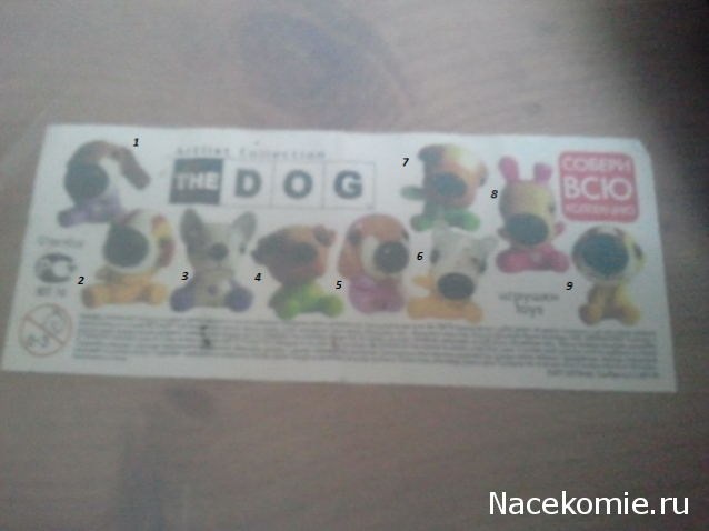 The Dog Collection Болталка