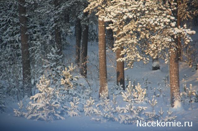 Куклы в народных костюмах – "Девчушки-болтушки"