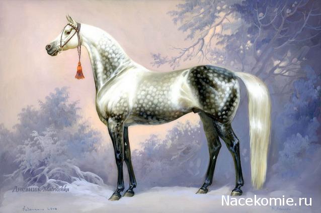 Дом Мечты Болталка: перезагрузка