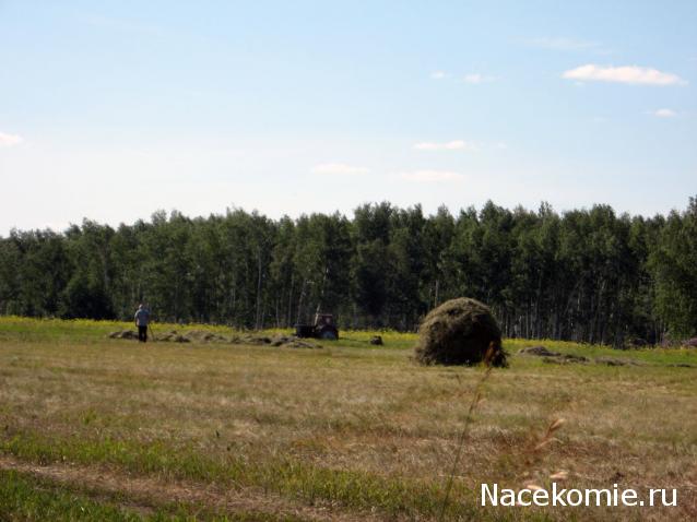 Дом Мечты Болталка: перезагрузка