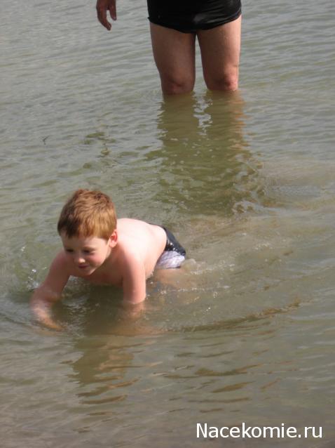 Дом Мечты Болталка: перезагрузка