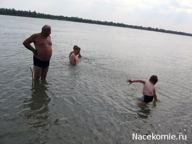 Дом Мечты Болталка: перезагрузка