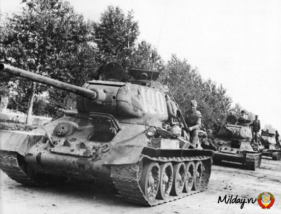 Танкодром (Общая Болталка танковых разделов)