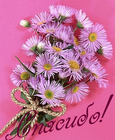 Дом Мечты наши дни рождения