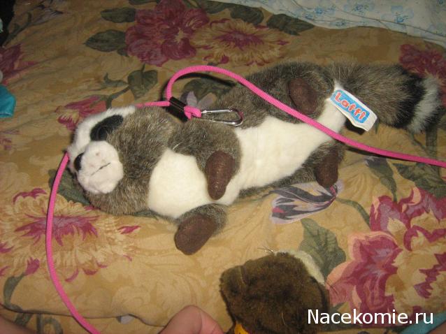 Кошкин дом. Болталка The Cat Collection