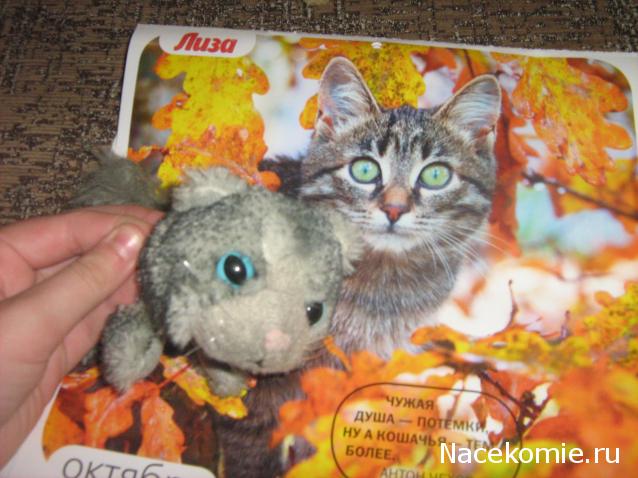 Кошкин дом. Болталка The Cat Collection