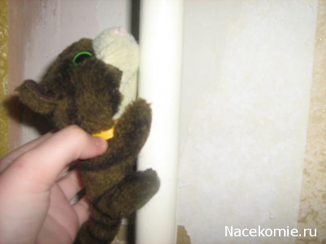 Кошкин дом. Болталка The Cat Collection