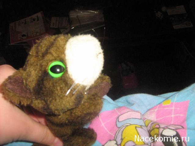 Кошкин дом. Болталка The Cat Collection