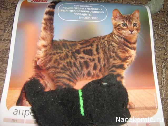 Кошкин дом. Болталка The Cat Collection