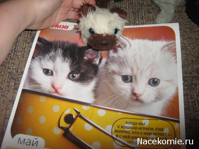 Кошкин дом. Болталка The Cat Collection