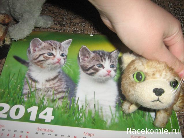 Кошкин дом. Болталка The Cat Collection
