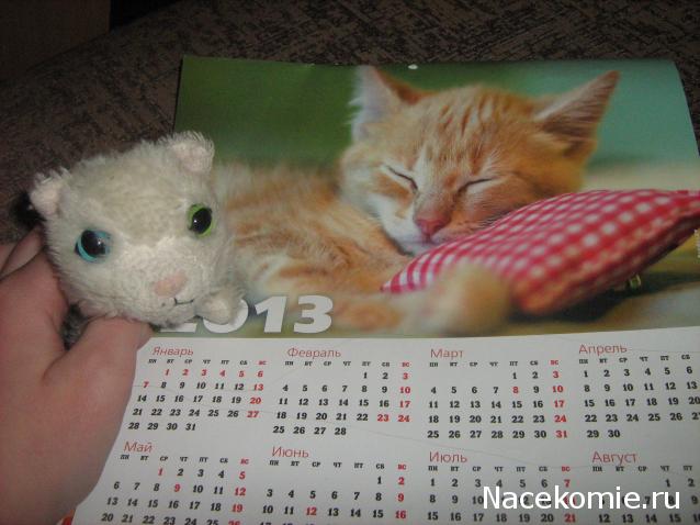 Кошкин дом. Болталка The Cat Collection