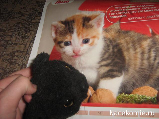 Кошкин дом. Болталка The Cat Collection