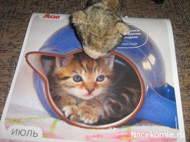 Кошкин дом. Болталка The Cat Collection