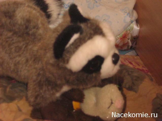 Кошкин дом. Болталка The Cat Collection