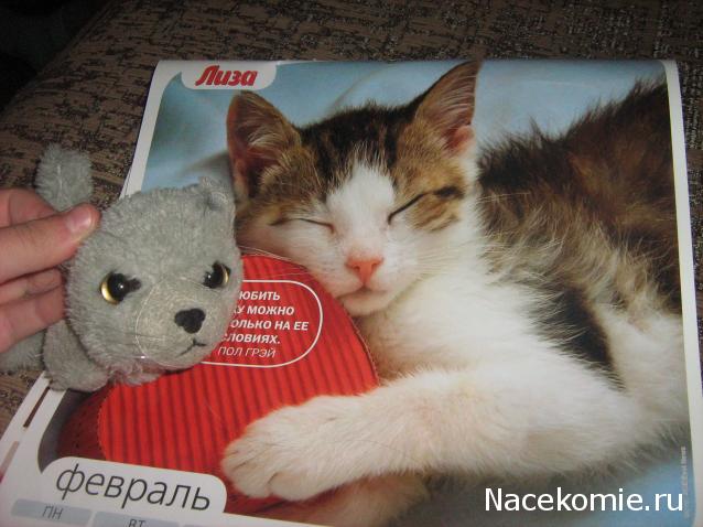 Кошкин дом. Болталка The Cat Collection