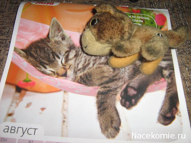 Кошкин дом. Болталка The Cat Collection