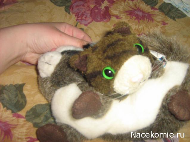 Кошкин дом. Болталка The Cat Collection