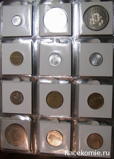 Монеты и банкноты №42  100 сукре (Эквадор), 50 стотин (Словения)