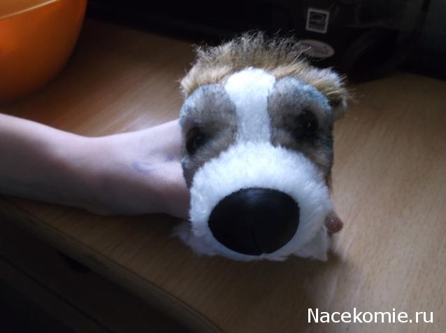 The Dog Collection №73 Шелти