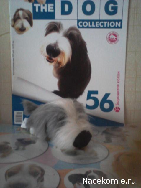 The Dog Collection №56 Бородатый Колли