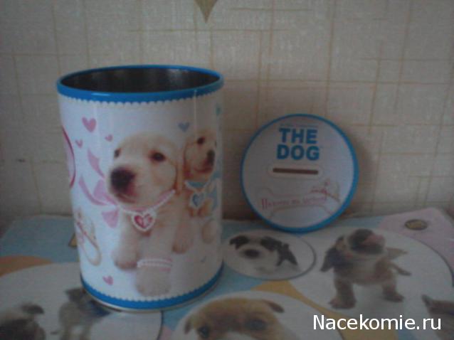 The Dog Collection Болталка