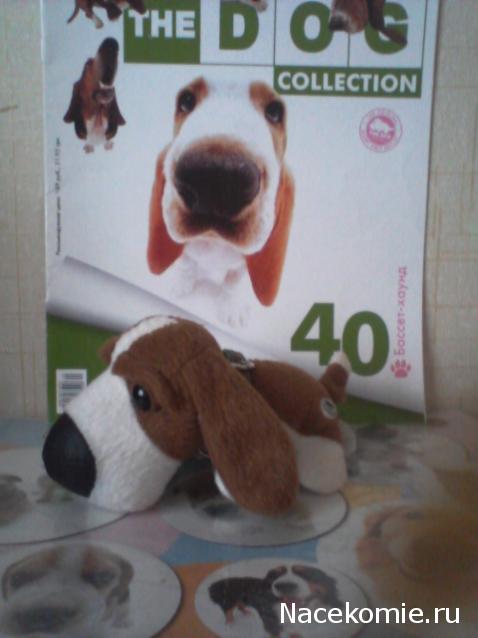 The Dog Collection №40 Бассет-хаунд