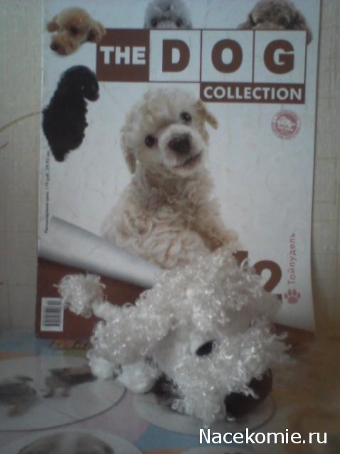 The Dog Collection №12 Тойпудель