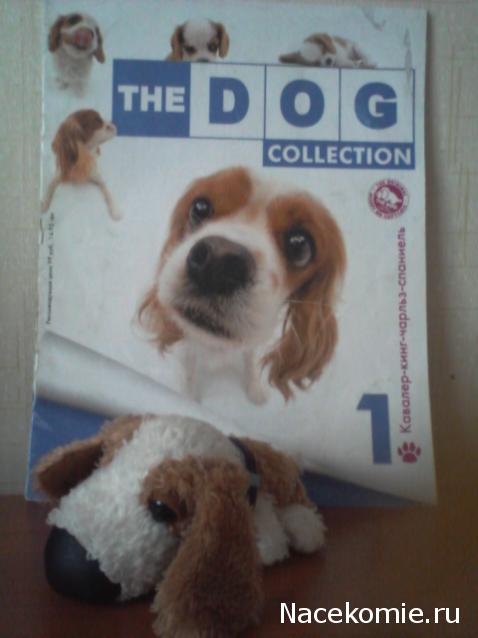 The Dog Collection №1 Кавалер-кинг-чарльз-спаниель