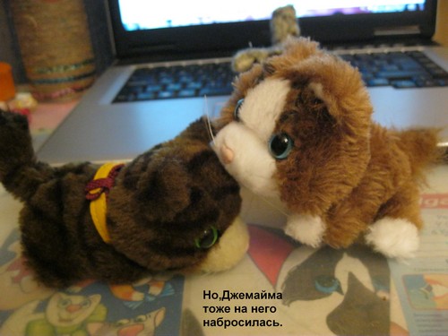 Кошкин дом. Болталка The Cat Collection