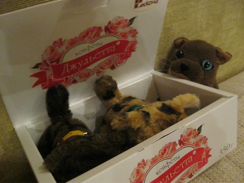 Кошкин дом. Болталка The Cat Collection