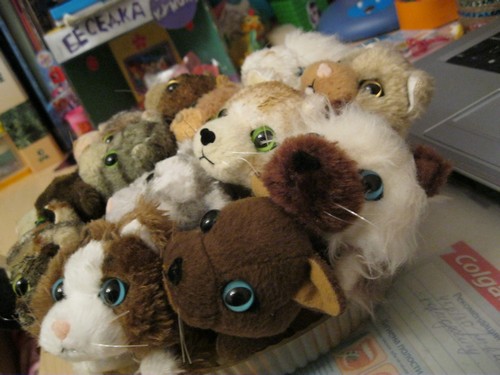 Кошкин дом. Болталка The Cat Collection