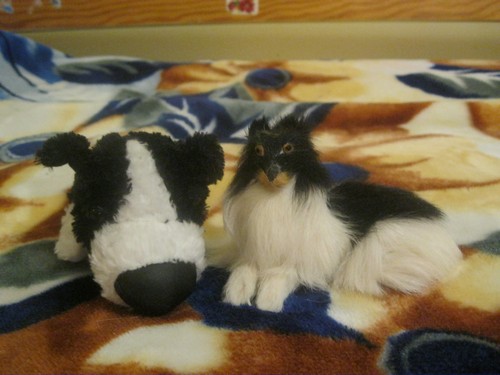 The Dog Collection Болталка