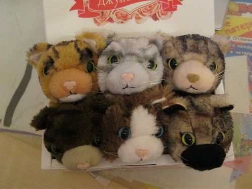 Кошкин дом. Болталка The Cat Collection