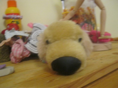 The Dog Collection Болталка