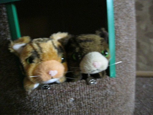 Кошкин дом. Болталка The Cat Collection