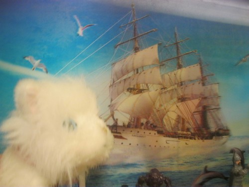 Кошкин дом. Болталка The Cat Collection