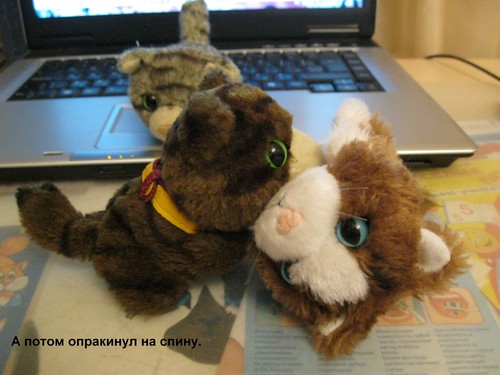 Кошкин дом. Болталка The Cat Collection