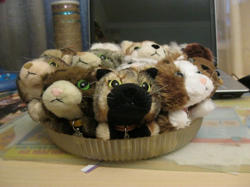 Кошкин дом. Болталка The Cat Collection