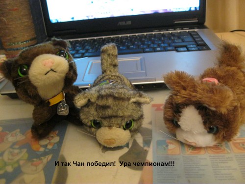 Кошкин дом. Болталка The Cat Collection