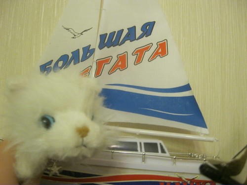Кошкин дом. Болталка The Cat Collection